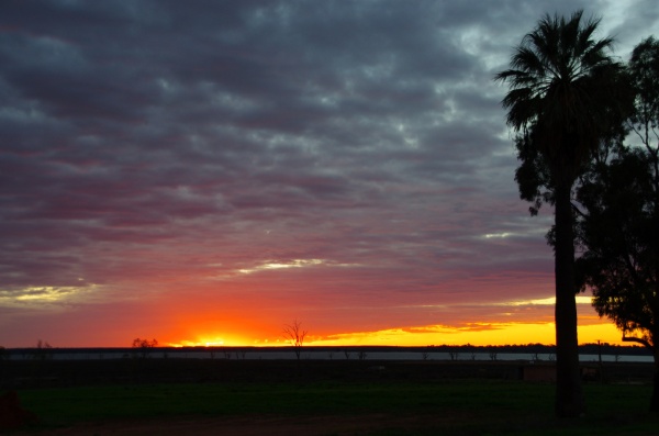 Sun rise near Renmark SA

