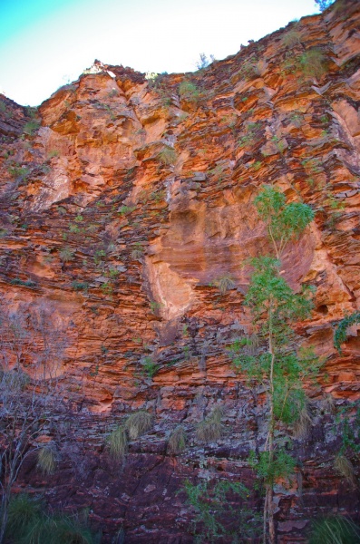 Hidden Valley - Kununarra.
