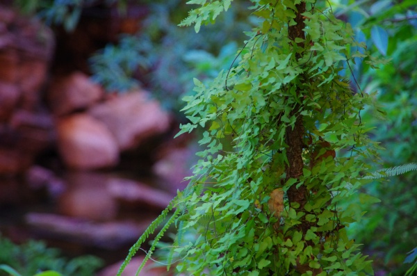Emma Gorge, WA
