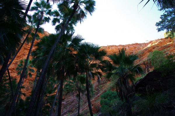 Zebedee Springs, Elquestro
