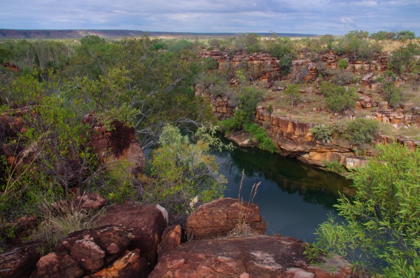 Barnett Gorge - Gib river rd. WA
