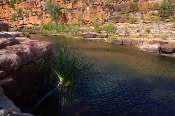 Barnett Gorge - Gib river rd. WA
