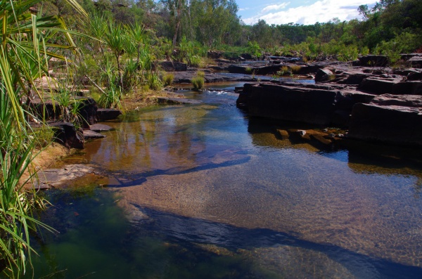 Barnett Gorge - Gib river rd. WA
