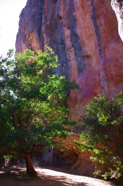 Windjana Gorge - WA
