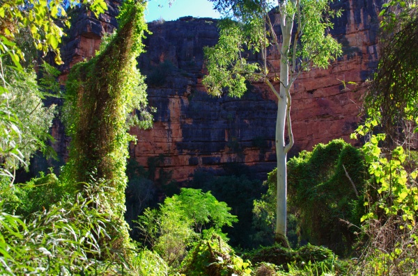 Windjana Gorge - WA

