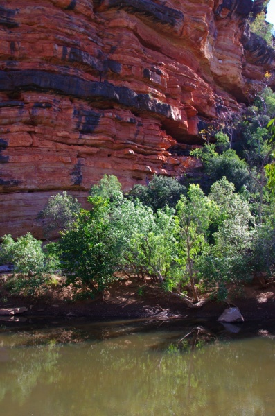 Windjana Gorge - WA
