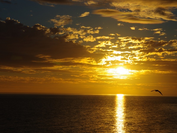 Denham - Sunset
