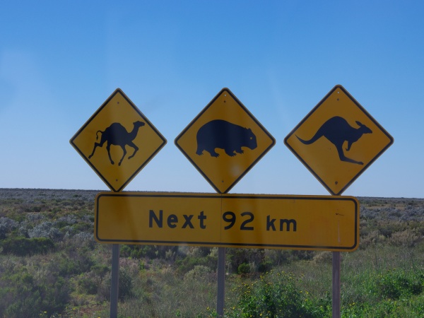 WA to SA road issues.
