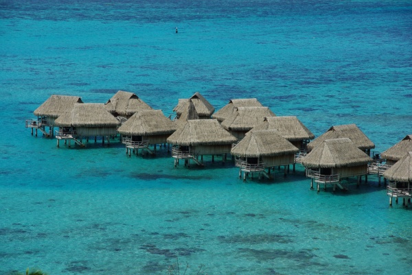 Moorea Sofitel
