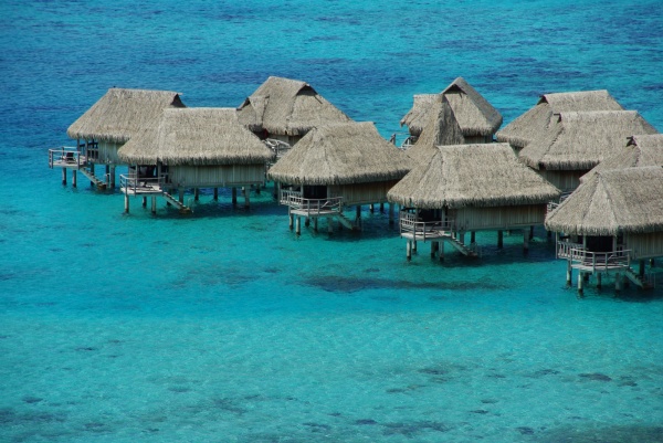 Moorea Sofitel
