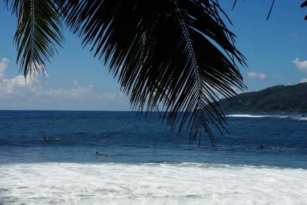 Surfing
