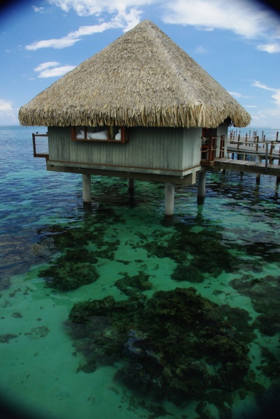 Overwater Huts
