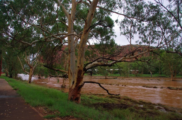 Todd River Alice Springs, NT.
