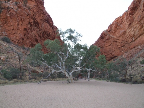 DSCF0836.JPG