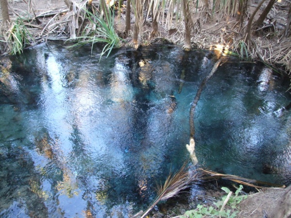 DSCF1691.JPG