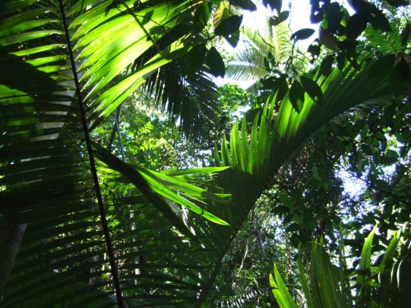 DSCF2134.JPG