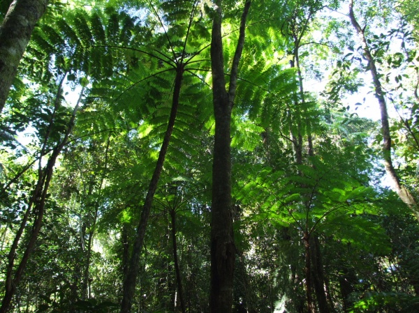 DSCF2136.JPG