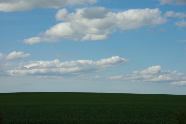 Victoria Fields
