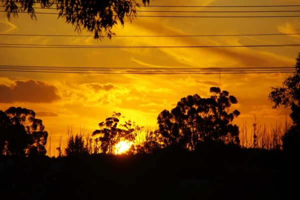 Ouyen VIC
