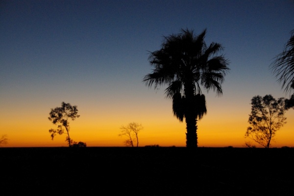 NT Sunrise
