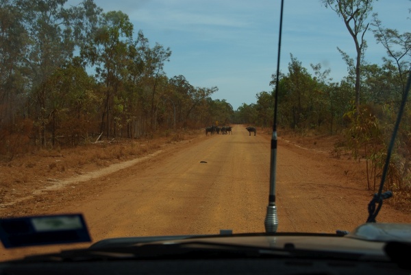Central arnhem hwy
