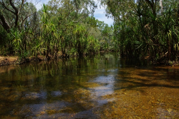 central arnhem hwy - Goyer River crossing

