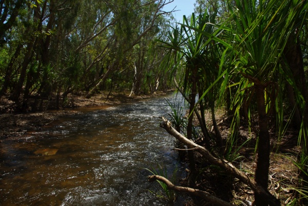 Central arnhem hwy - Goyer River crossing.
