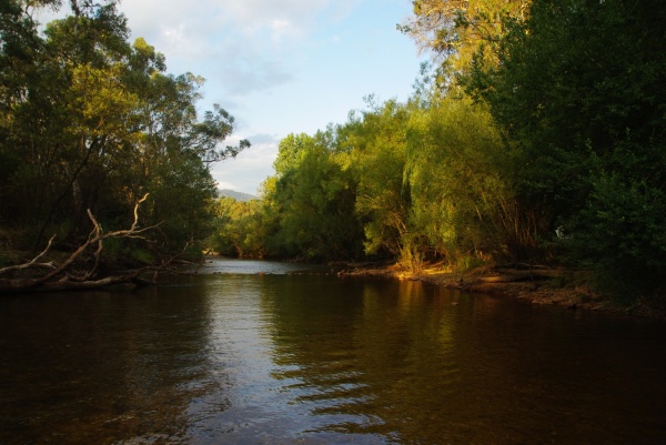 porepunkah, Vic
