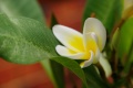 1024-IMGP2843b~0.jpg