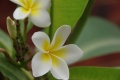 1024-IMGP2887~0.jpg