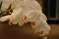 1024-IMGP3050.jpg