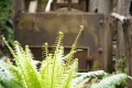 1024-IMGP4104.jpg