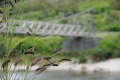 1024-IMGP4202.jpg