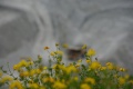1024-IMGP4259.jpg