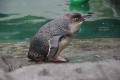 1024-IMGP4390.jpg