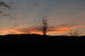 1024-IMGP4626.jpg