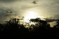 1024IMGP4900.jpg