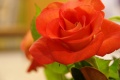 1024x685-IMGP4783.jpg