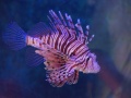 1600_PIMG3399.jpg