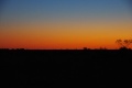 1600x1071-IMGP6113.jpg