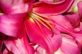 1631-PIMG0860.jpg