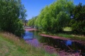 1631-PIMG0990.jpg