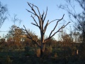 DSCF0404.JPG