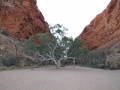 DSCF0836.JPG