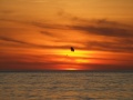 DSCF1274.JPG