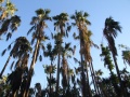 DSCF1690.JPG