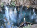 DSCF1691.JPG