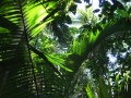 DSCF2134.JPG