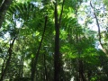 DSCF2136.JPG