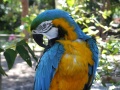 DSCF2265.JPG